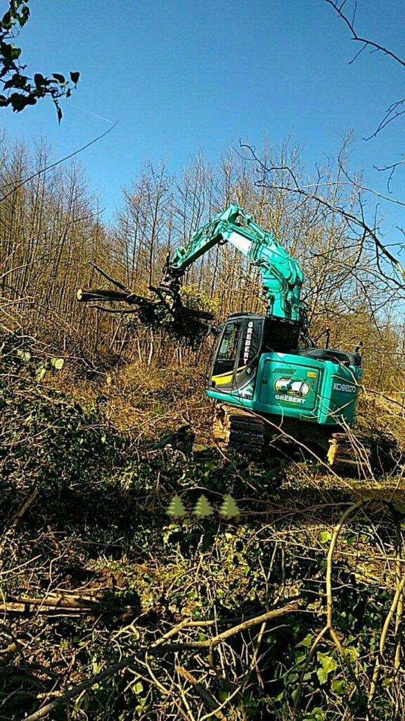 Débardage forestier Sornay